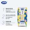 青海湖高原酸奶200g*10盒儿童常温老青藏酸奶整箱
