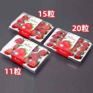 恰货郎 双旦限量秒杀！京东空运 ！单果王级25克左右！红颜99草莓 1盒12粒（净重300克）
