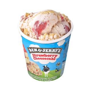 BEN & JERRY'S Ben&Jerry's本杰瑞巧克力布朗尼香草桶装雪糕冰激淋465mL