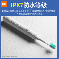Xiaomi 小米 电动牙刷T300米家全自动充电式声波成人款牙刷送刷头12
