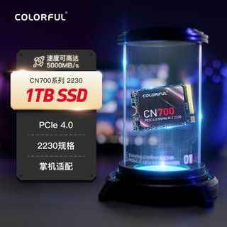 COLORFUL 七彩虹 SSD CN系列 CN700 2230 NVMe M.2 固态硬盘 1TB（PCI-E4.0）
