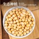 BeiChun 北纯 有机黄豆1kg斤 东北特产黄豆农家自种有机杂粮2斤