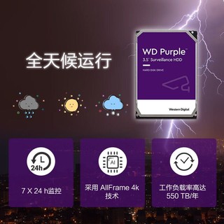 西部数据 监控级硬盘 WD Purple 西数紫盘pro 22TB 7200转 512MB SATA CMR (WD221PURP)