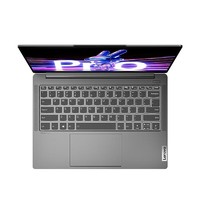 88VIP：Lenovo 联想 小新 Pro 14 2023款 十三代酷睿版 14.0英寸 轻薄本