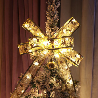 OUNIZI 欧妮姿 圣诞节装饰彩灯带闪月亮星星灯串情人节3米发光灯带（电池款）