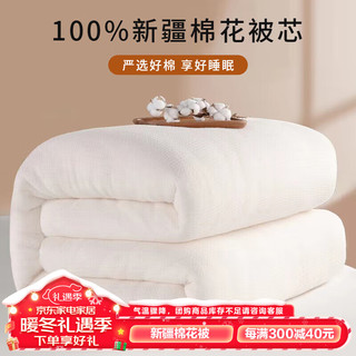 OBXO 源生活 新疆纯棉被胎 200*230cm 10斤