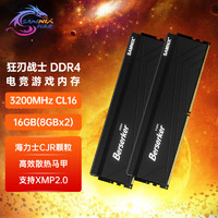 SK hynix 海力士 新乐士（SAMNIX）台式机内存条 16GB(8GBx2)DDR4 3200MHz C16 黑色 海力士CJR 狂刃战士电竞游戏