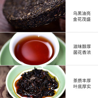 天福茗茶（TenFu’s TEA） 2024龙年生肖饼龙腾万里安化黑茶金花茯茶茶叶礼盒488g