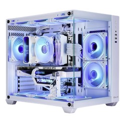 GALAPAD 影驰 DIY台式主机（i5-13490F、16GB D5、1TB、RTX4060ti）