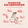 STELLA&CHEWY'S/星益生趣 星益生趣SC狗粮小型犬小颗粒全价烘焙粮低温烘焙全阶段进口狗粮