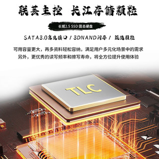 Great Wall 长城 2TB SSD固态硬盘 SATA3.0接口 长江存储晶圆 国产TLC颗粒高速稳定读写 GT580系列