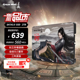 Great Wall 长城 2TB SSD固态硬盘 SATA3.0接口 长江存储晶圆 国产TLC颗粒高速稳定读写 GT580系列