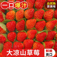 甜艾妮 大凉山草莓 4.5斤 特大果（单果30g-35g）