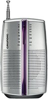 GRUNDIG City 31便携式铬合金收音机（FM / AM调谐器）