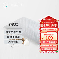 DAPU 大朴 荞麦枕头花草枕100%荞麦壳填充四季通用颈椎枕48*74cm