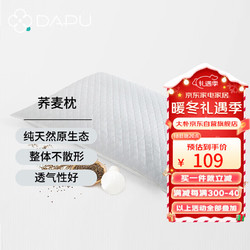 DAPU 大朴 荞麦枕头花草枕100%荞麦壳填充四季通用颈椎枕48*74cm