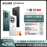 OnePlus 一加 12 5G智能手机 16GB+512GB