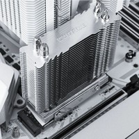利民 COGAGE) COGAGE SSD H2 M.2固态单塔散热器 支持PCI-E 5.0