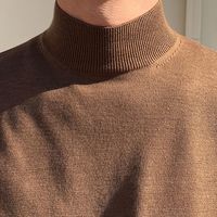 DAVE HILL 大卫山 秋冬季半高领毛衣男长袖韩版毛线衣纯色针织衫中领内搭