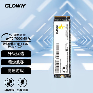 GLOWAY 光威 2TB SSD固态硬盘 M.2接口(NVMe协议) PCIe 4.0x4 长江存储颗粒 弈二代系列