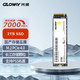 GLOWAY 光威 2TB SSD固态硬盘 M.2接口(NVMe协议) PCIe 4.0x4 长江存储颗粒 弈二代系列