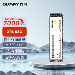 GLOWAY 光威 2TB SSD固态硬盘 M.2接口(NVMe协议) PCIe 4.0x4 长江存储颗粒 弈二代系列