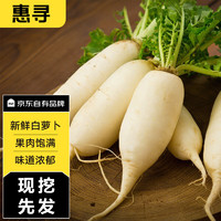 惠寻 京东自有品牌  白萝卜5斤 新鲜蔬菜 农家大白萝卜 长萝卜 水嫩