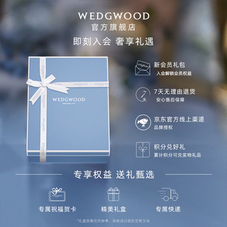 WEDGWOOD 基伍德雅韵方型深盘26cm欧式餐盘汤盘骨瓷大盘子深盘 雅韵26cm方型深盘