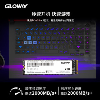 GLOWAY 光威 SSD固态硬盘 M.2接口(NVMe协议) Basic系列 2TB Basic+升级版