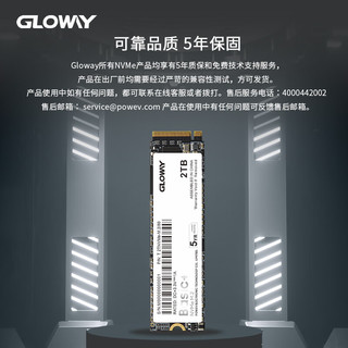 GLOWAY 光威 SSD固态硬盘 M.2接口(NVMe协议) Basic系列 2TB Basic+升级版