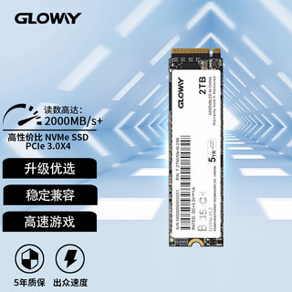 GLOWAY 光威 SSD固态硬盘 M.2接口(NVMe协议) Basic系列 2TB Basic+升级版