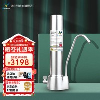 Doulton 道尔顿 英国原装进口 道尔顿DUS SI台上阻垢净水器家用直饮机