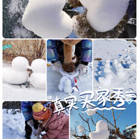 富梦兰 雪球夹雪地玩雪玩具大鸭子儿童打雪仗恐龙加厚模具工具夹雪球