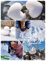 富梦兰 雪球夹雪地玩雪玩具大鸭子儿童打雪仗恐龙加厚模具工具夹雪球