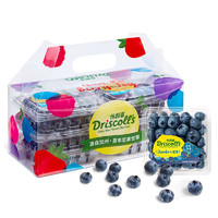 怡颗莓 超大果云南蓝莓6盒约125g/盒 水果礼盒