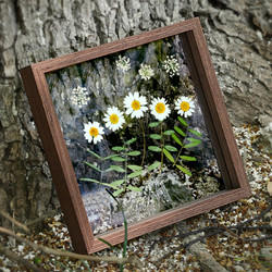 LINYI PHOTO FRAME 林益相框 植物标本相框剪纸画框裱框双面透明玻璃树叶标本框摆台压花展示框