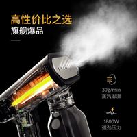 SteamOne 斯蒂万 都市者升级高端挂烫机家用 增压蒸汽手持熨斗出行神器  杀菌除螨熨烫专家