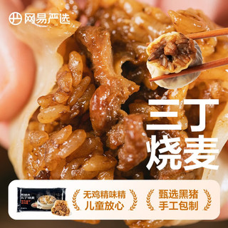 YANXUAN 网易严选 黑猪肉包老面小笼包速食早餐半成品嵊州小笼包儿童面点速冻包子 三丁烧麦 200g 1袋