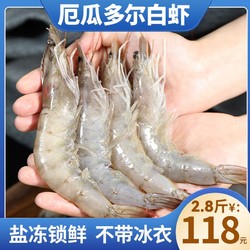 港島姑娘30/40大號厄瓜多爾白蝦海水大蝦 鹽凍蝦凈2.8斤約55~60只