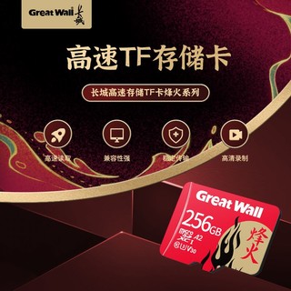 Great Wall 长城 256G内存卡行车记录仪高速高清摄像头专用手机TF卡极速储存卡