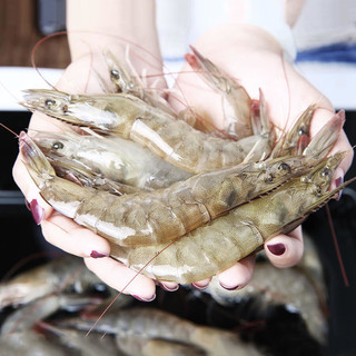 望涎 国产大虾 盐冻大虾 青虾白虾海虾对虾虾类4斤 18-20cm（特大虾）