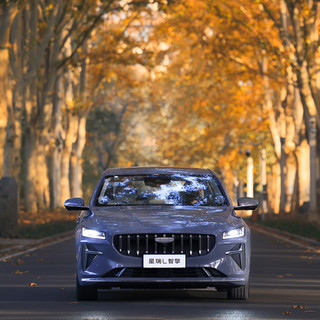 GEELY AUTO 吉利汽车 星瑞L