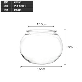 HIDOM鱼缸水族箱小型桌面鱼缸透明圆形防摔金鱼缸客厅办公室家用小鱼缸 防摔鱼缸250+珊瑚树+蓝石头350g