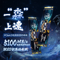 FANXIANG 梵想 2TB SSD固态硬盘 M.2接口NVMe协议PCIe 4.0 x4 台式机笔记本电脑适用S690M