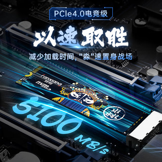 梵想（FANXIANG）2TB SSD固态硬盘 M.2接口NVMe协议PCIe 4.0 x4 台式机笔记本电脑适用S690M