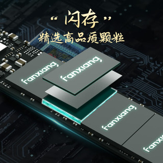 FANXIANG 梵想 4TB SSD固态硬盘 M.2接口NVMe协议PCIe3.0*4 台式机笔记本电脑适用S500MQ
