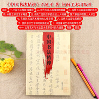 中国书法精神 石延平 艺术 书法 篆刻 河南美术出版社 书法发展史研究 自学用书教材 书法书籍