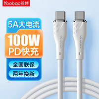 Yoobao 羽博 Type-C数据线双头PD100W 冰霜银