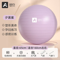 京东百亿补贴：AOYI 奥义 瑜伽球 紫色
