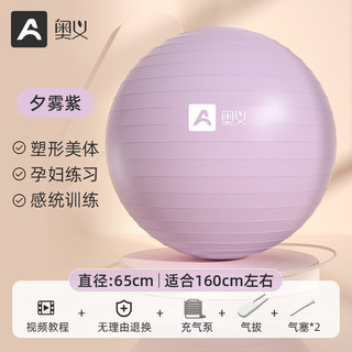 京东百亿补贴：AOYI 奥义 瑜伽球 紫色 65cm